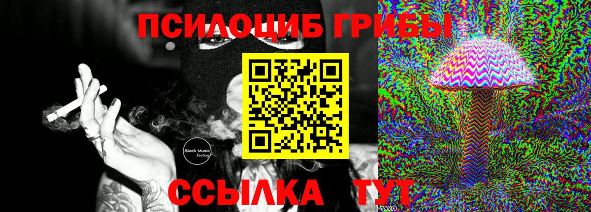 Галлюциногенные грибы GOLDEN TEACHER  Вход с VPN  Мурино  Псилоцибиновые грибы Psilocybe 