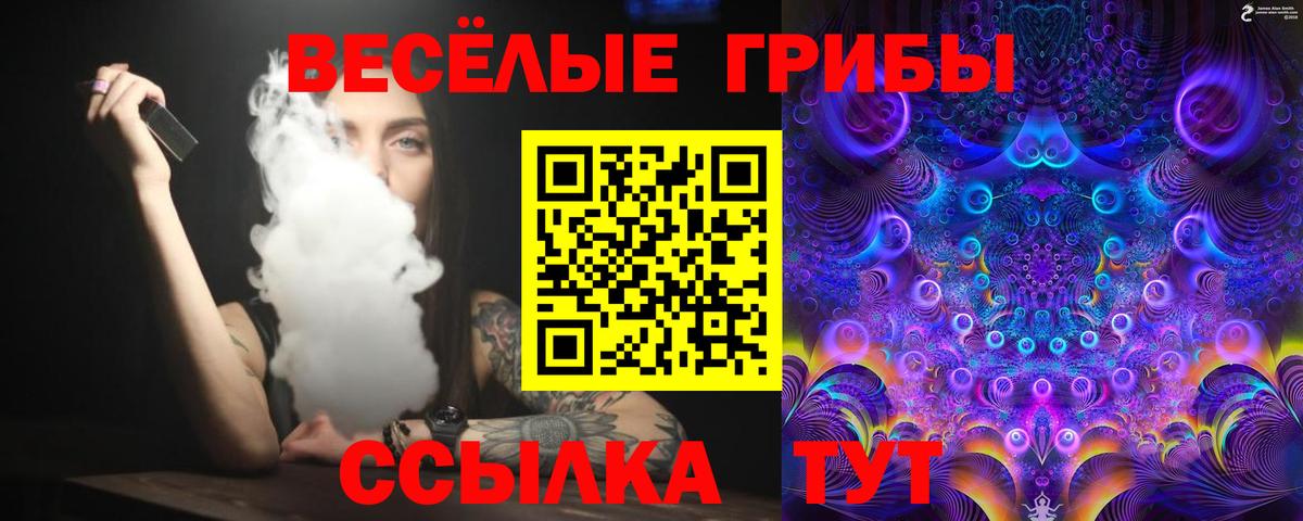 Псилоцибиновые грибы ЛСД Мурино